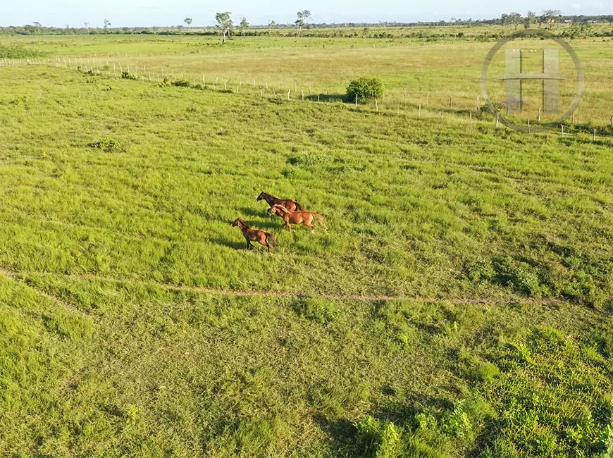 125-Acre Working Cattle Ranch with Pig Pens and Caretaker's House, Orange Walk