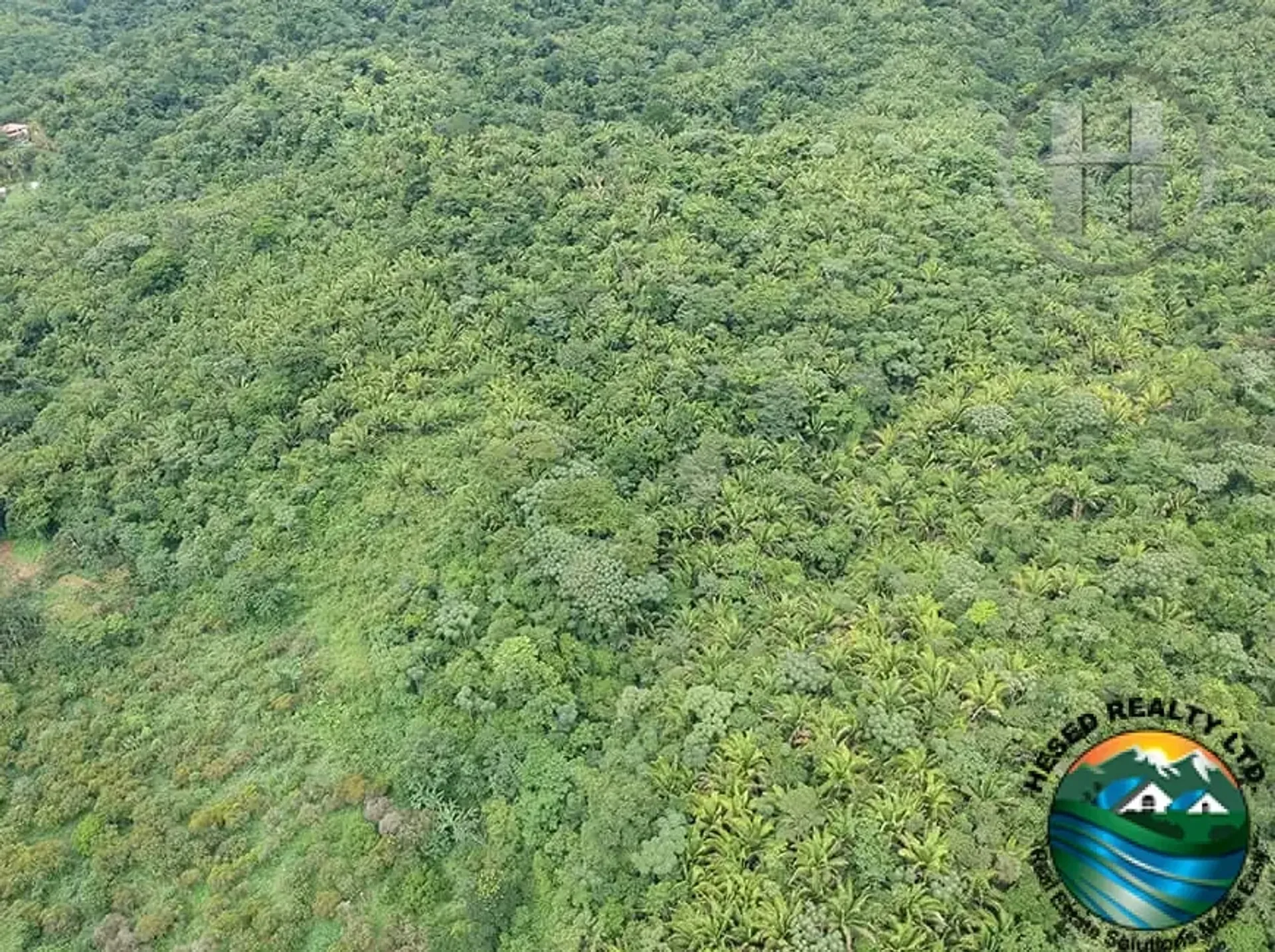 38.8-Acre Jungle Land with Waterfall and Creek Near Middlesex, Stann Creek