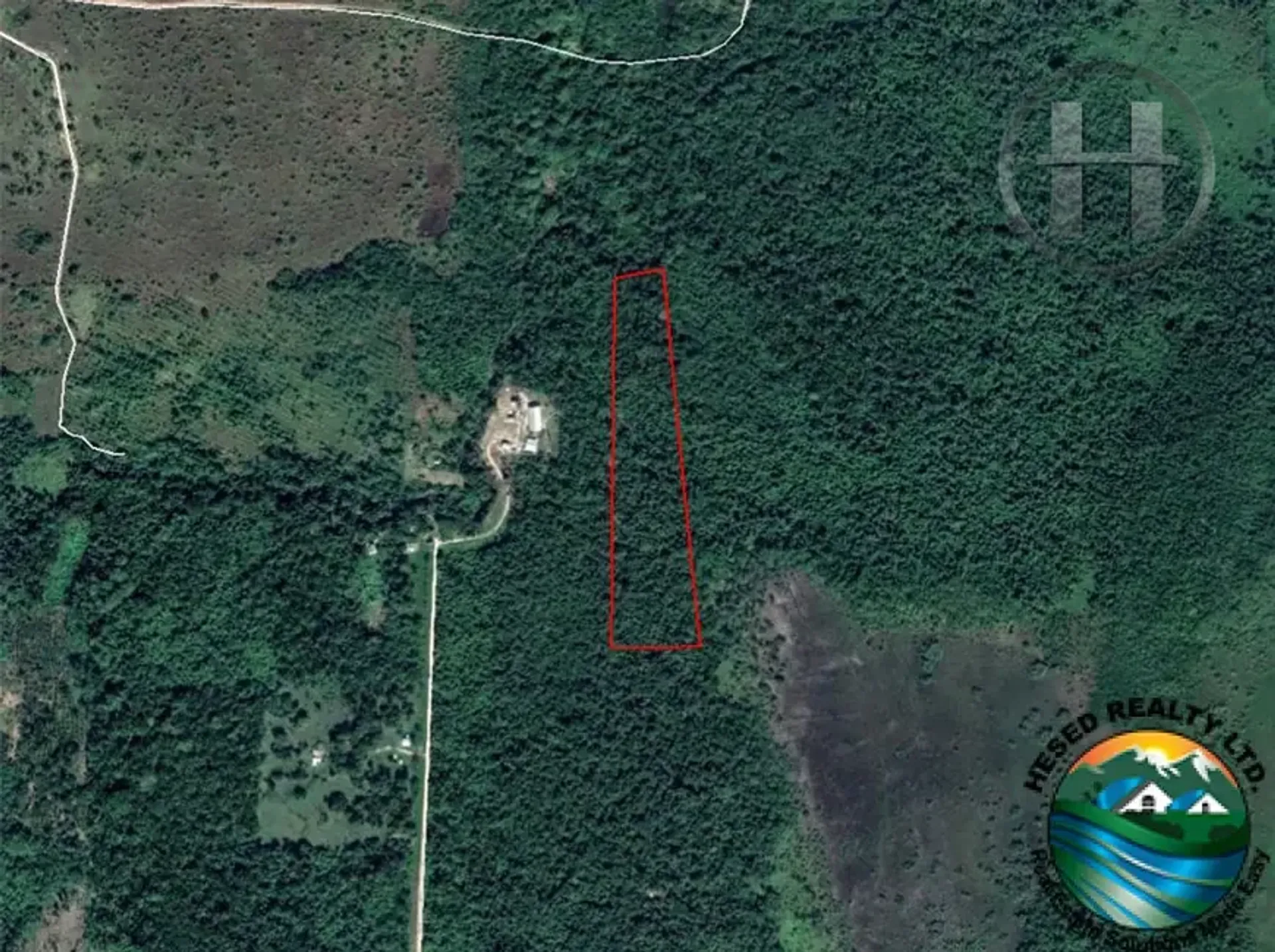 12.8-Acre Jungle Property with 250 ft Creek Frontage, Near Hopkins, Stann Creek