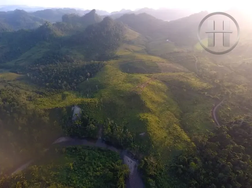 44-Acre Cleared Creek-Front Land off Hummingbird Highway, St. Margret, Cayo