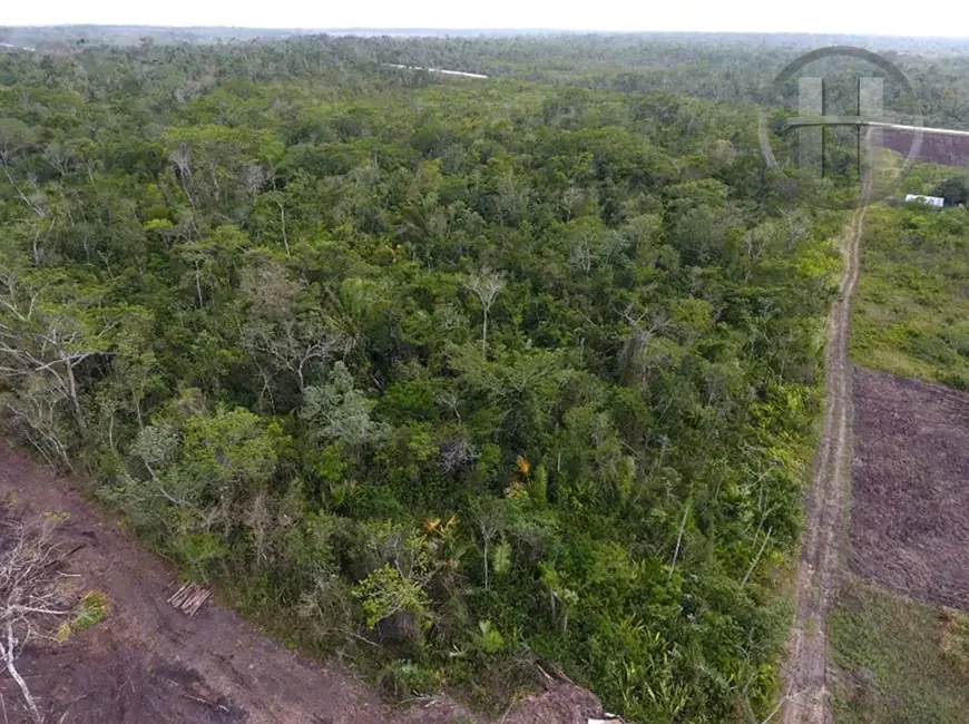 50-Acre Farm Near Spanish Lookout, 90% Cleared with Road Frontage, Cayo