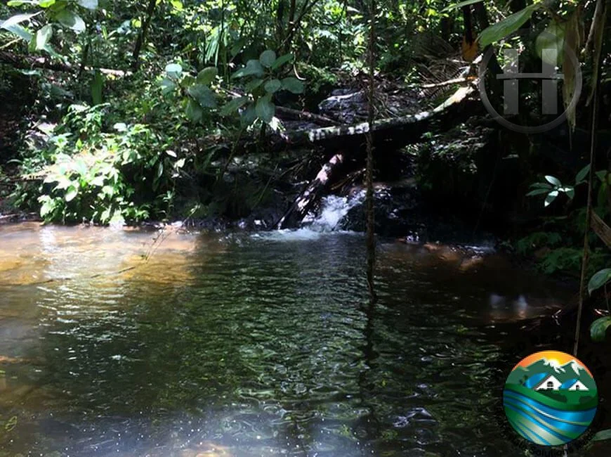 Gallery view