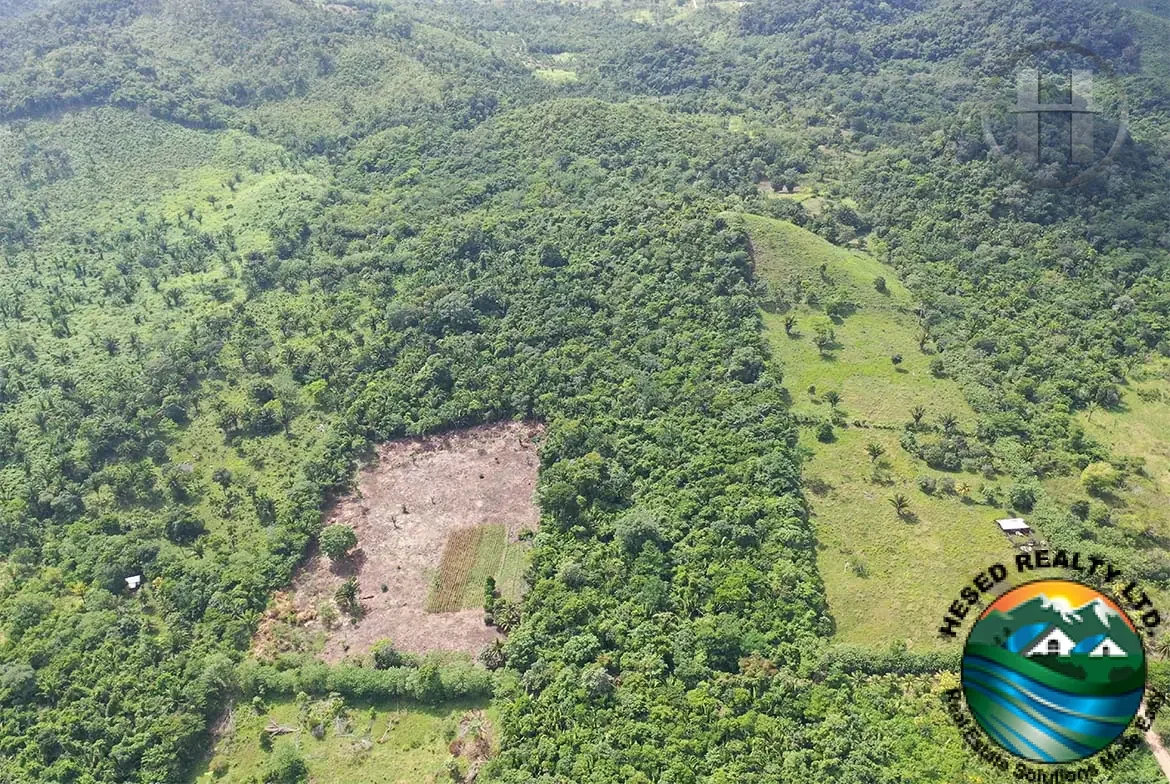 15-Acre Rolling Rainforest Parcel with Maya Mountain Views near Belmopan, Cayo