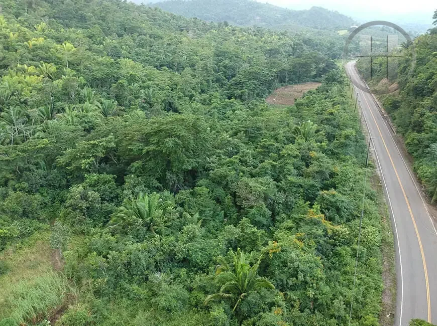 110-Acre Forested Property with Three Creeks at the Sleeping Giant Mountains, Cayo