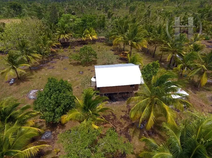 24.4-Acre Farm with Fish Pond and Fruit Trees near Spanish Lookout, Cayo