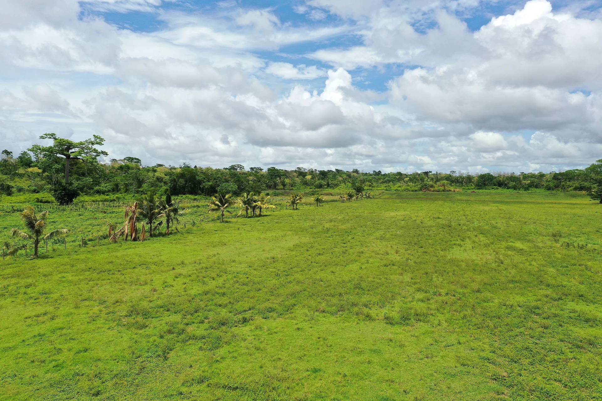 21-Acre Riverfront Farm with 500 ft of Belize River Frontage, Near Spanish Lookout, Cayo