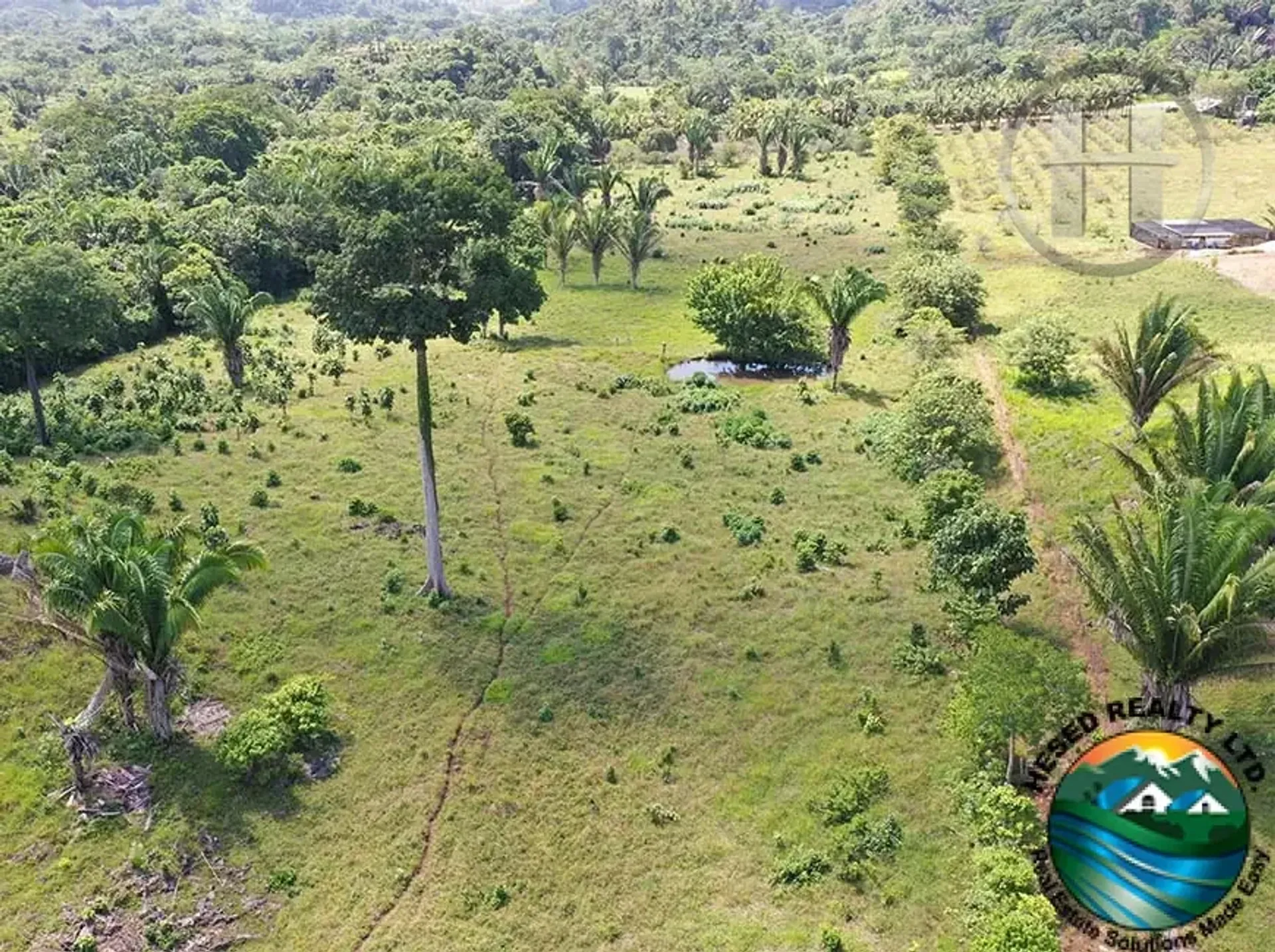 15-Acre Cleared Farm with Creek, Well and Hilltop Homesite, Near Belmopan, Cayo