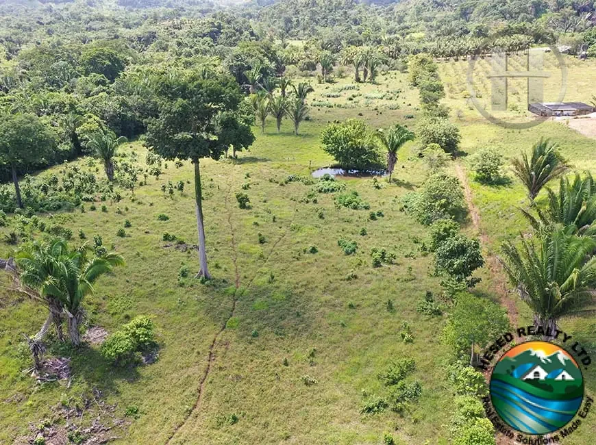 15-Acre Cleared Farm with Creek, Well and Hilltop Homesite, Near Belmopan, Cayo