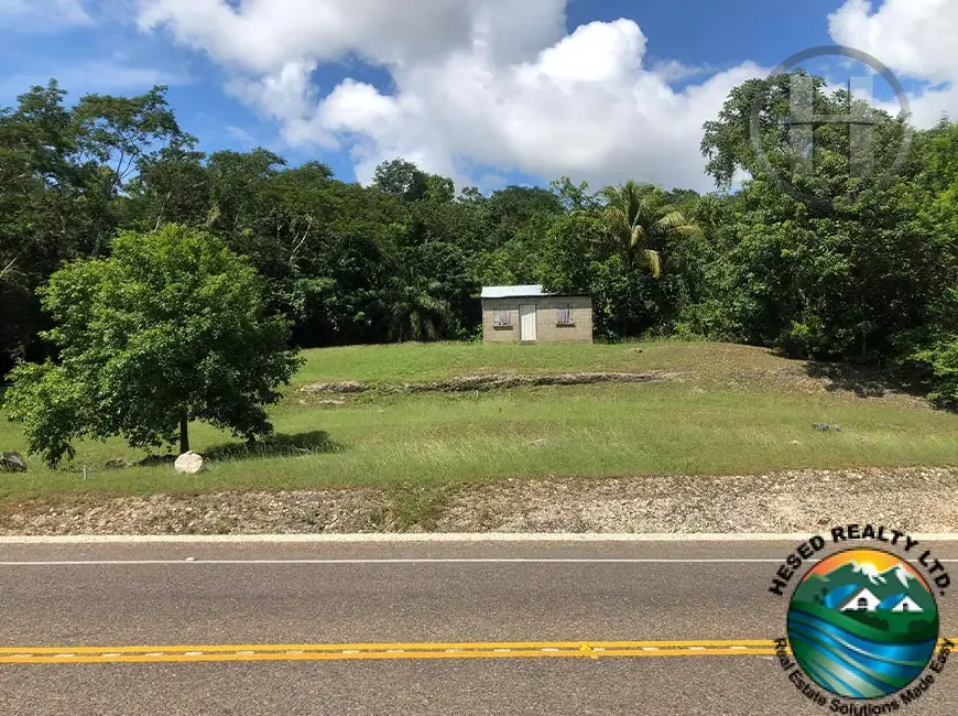 29-Acre Jungle Land with Highway and Barton Creek Frontage, Unitedville, Cayo