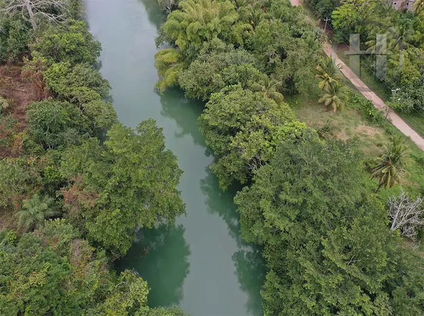 25-Acre Mopan Riverfront Land with 200 Ft Frontage, Paslow Falls, Cayo