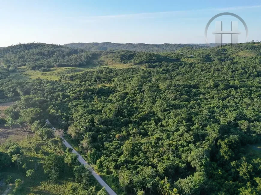 100-Acre Jungle Property with Hilltop Homesite and Two Ponds, near Valley of Peace, Cayo