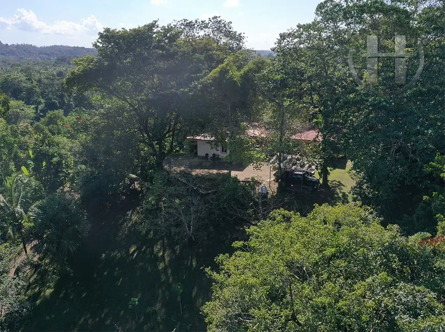 28-Acre Belize Riverfront Estate with 3-Bed Home and Fruit Orchard in Teakettle Village