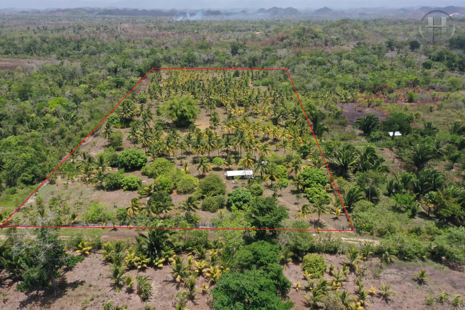 10-Acre Off-Grid Farm with Fruit Trees and Creek, Near Belmopan, Cayo