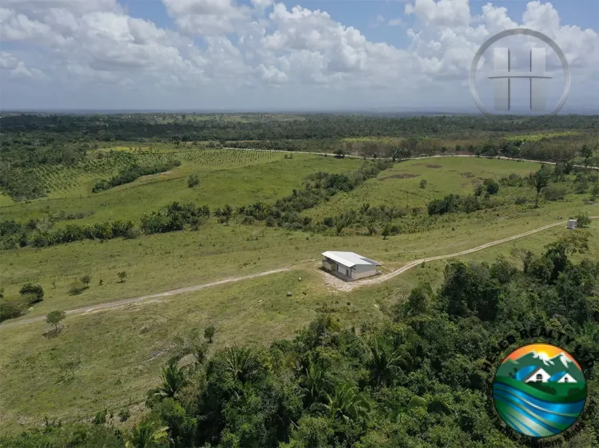 334-Acre Operating Ranch with Solar Power and Year-Round Spring, Valley of Peace, Cayo