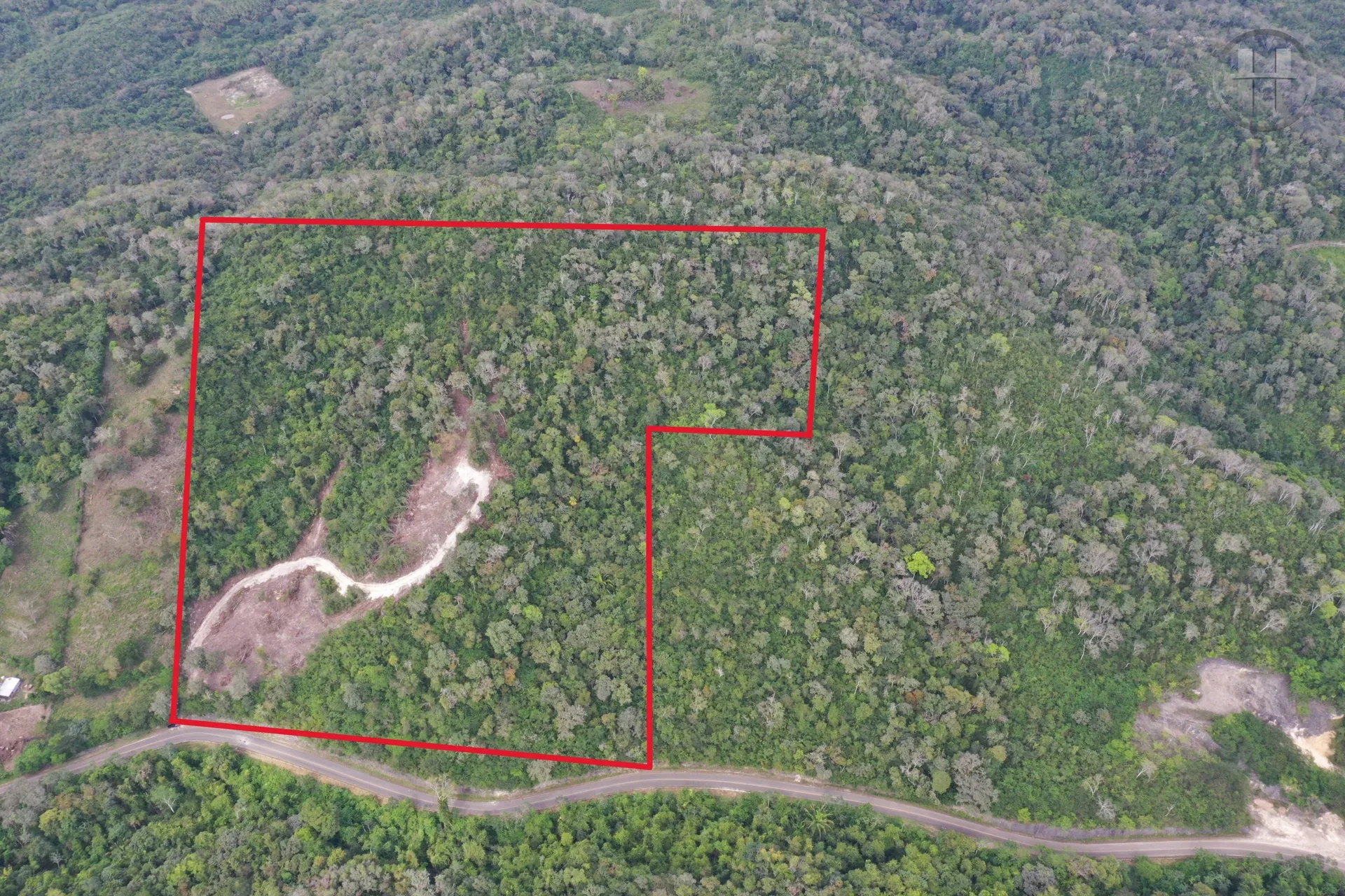 46.7-Acre Rolling Jungle Land with 780 Ft Highway Frontage Near Cristo Rey, Cayo