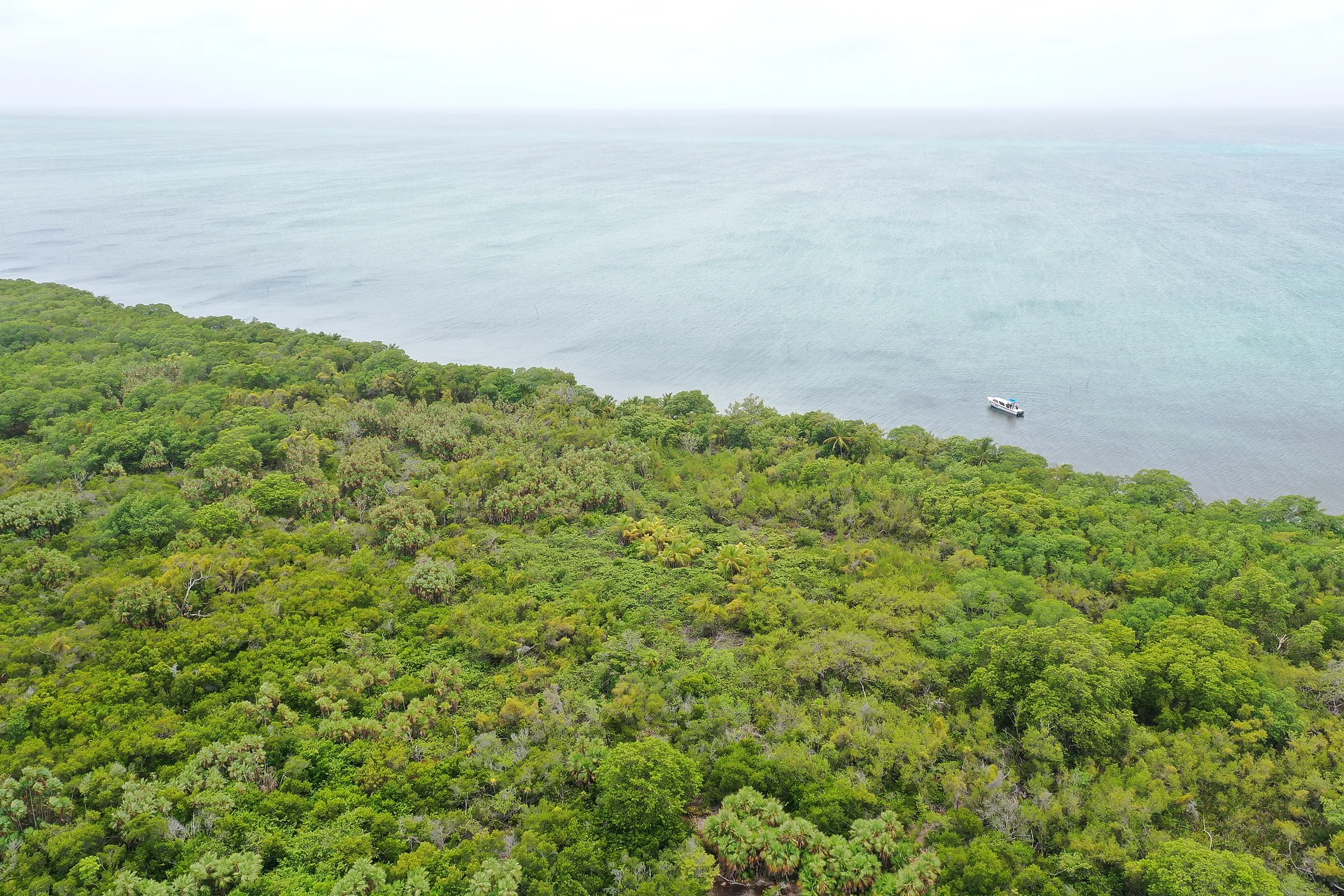 25.15 Acres with 500 ft Caribbean Frontage on Turneffe Atoll, Belize District