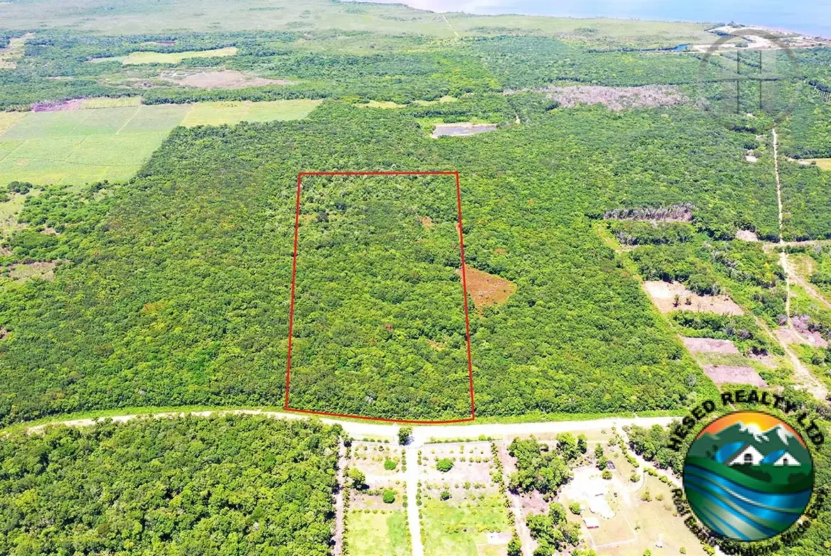 28.6 Acres For Sale Along Consejo Road, Corozal District.