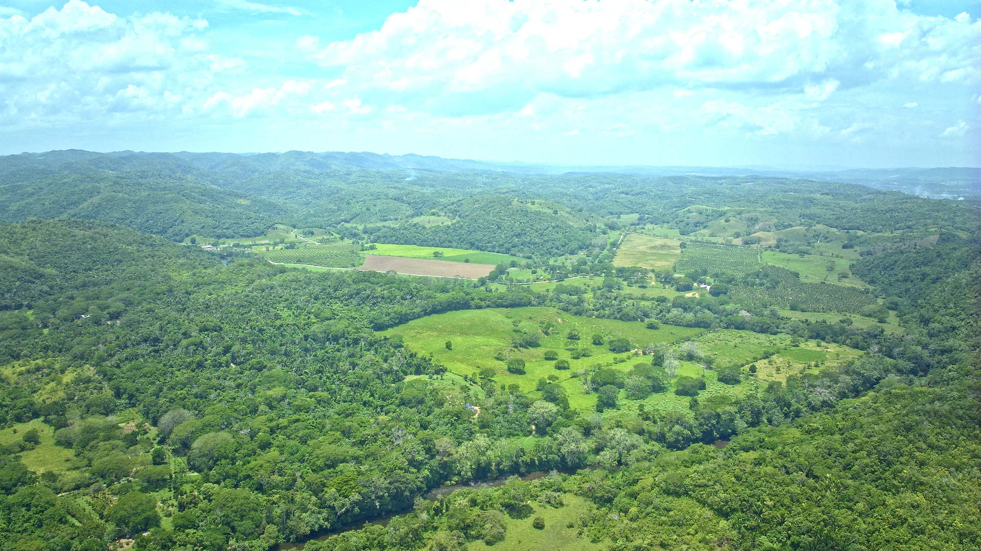 113-Acre Jungle Property Overlooking Macal River, near San Ignacio, Cayo