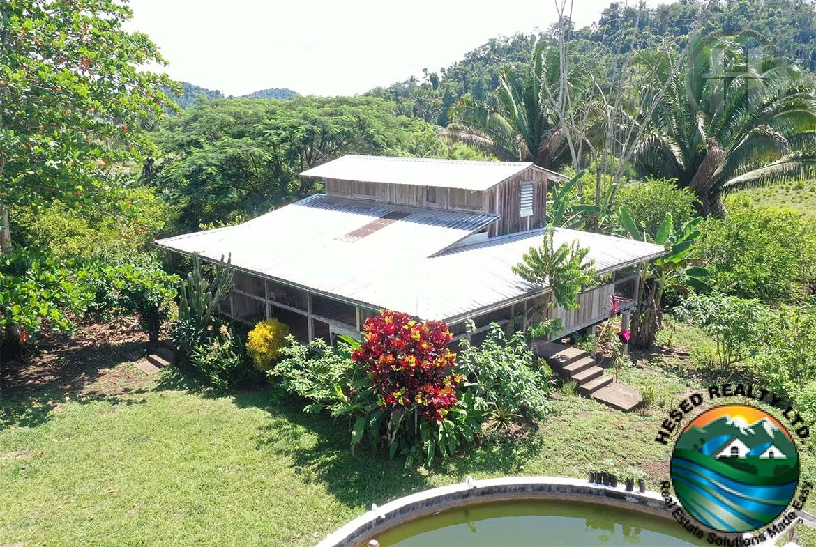 Gallery view