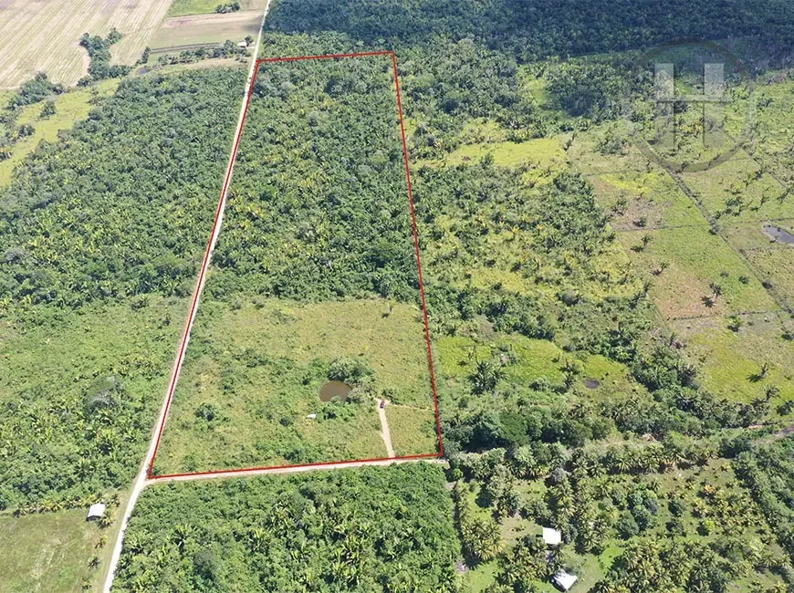 25-Acre Sloped Farmland with Pond off Farmers Express Highway, Cayo