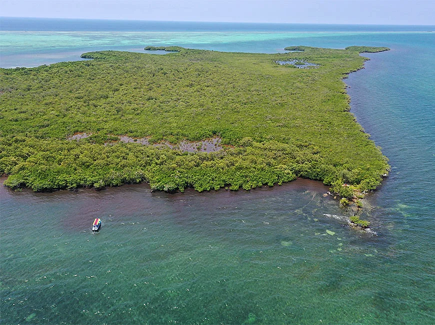 1.08-Acre Beachfront Lot with 340 ft Sea Frontage on Columbus Caye, Stann Creek