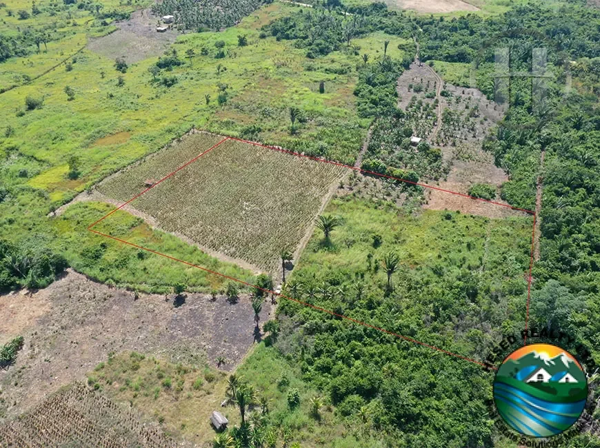 10-Acre Fruit-Tree Farm with Mountain Views in Mount Pleasant, Cayo