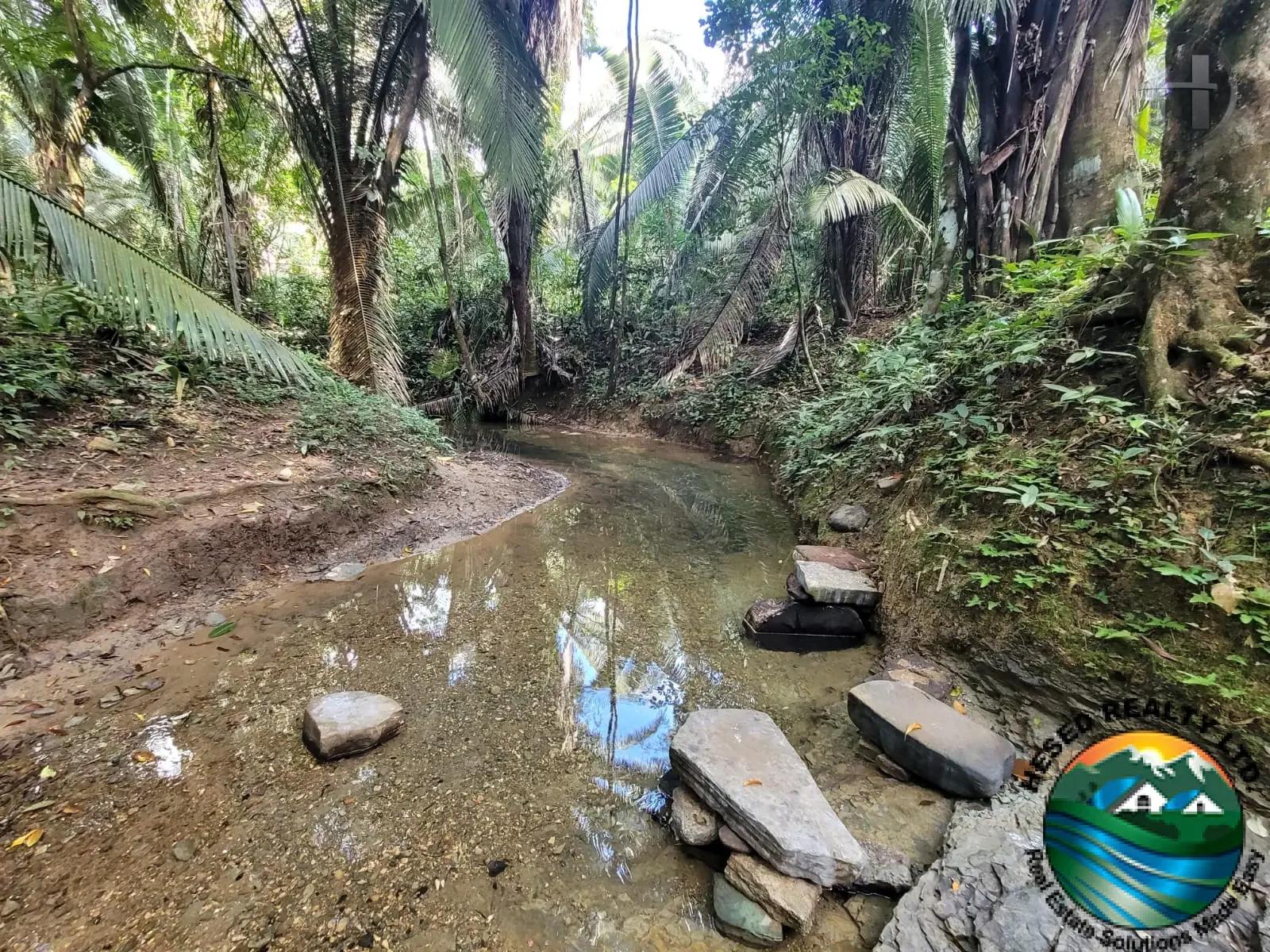 29-Acre Fertile Land with Two Streams Near San Pedro Columbia, Toledo