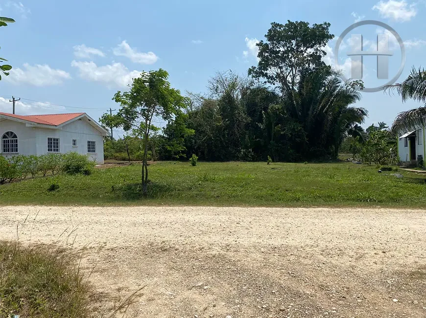 Cleared Residential Lot on Michael Finnegan Street, Belmopan