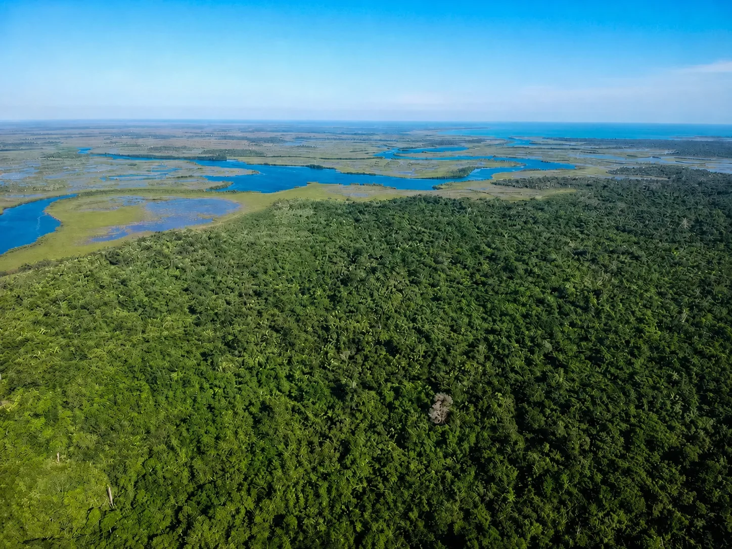 7,000-Acre Parcel, Toledo