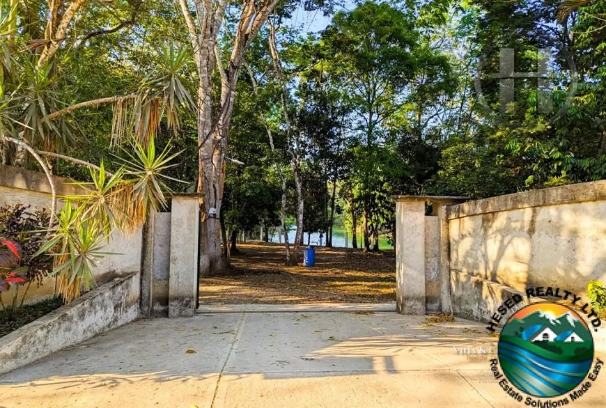 Gallery view
