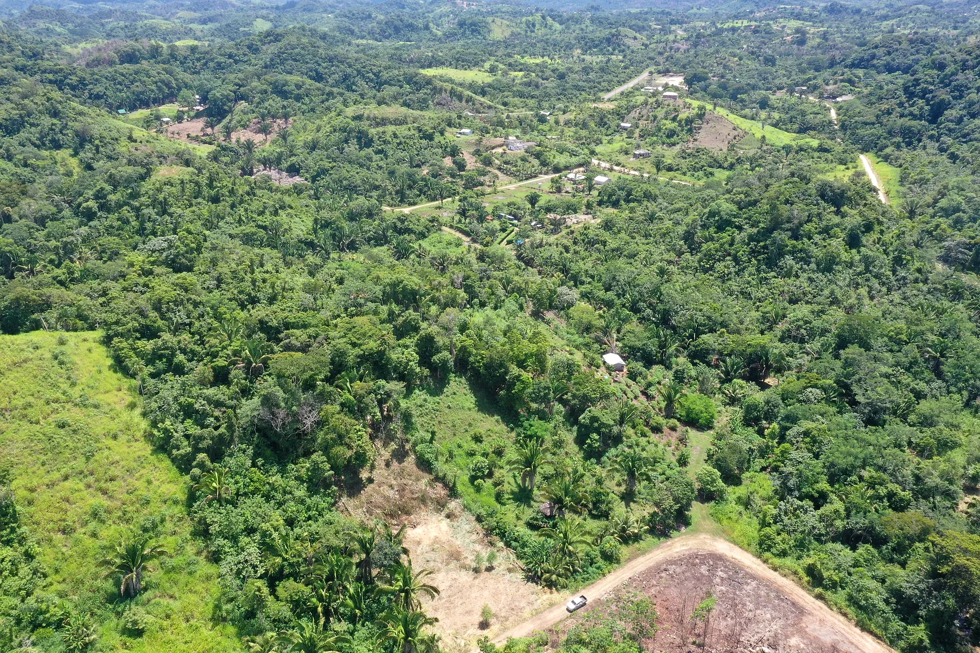 3-Acre Hilltop Lot with Fruit Trees and Creek in Agua Viva, Stann Creek