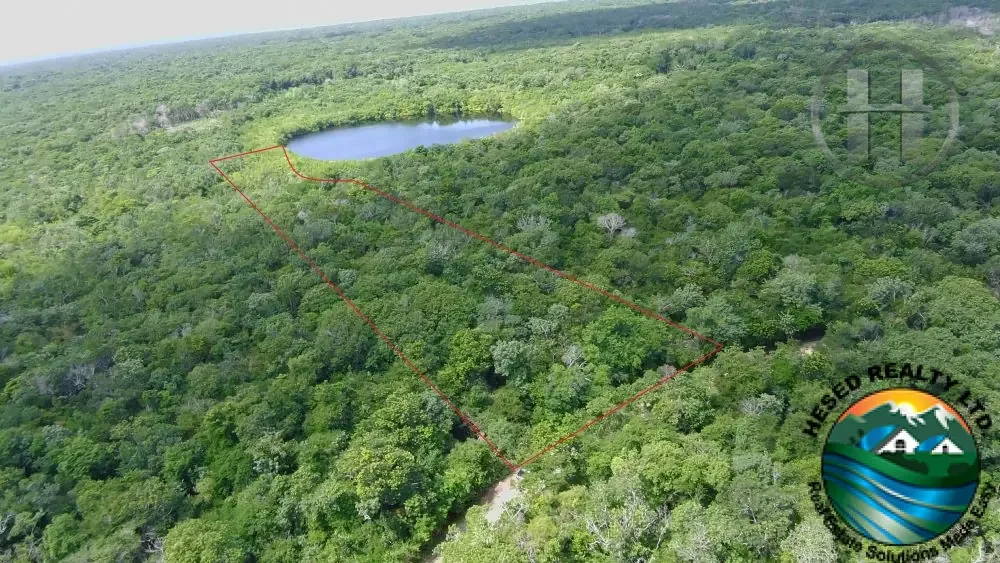 3.96-Acre Coastal Property for Sale in Sarteneja: Your Private Retreat Near the Sea