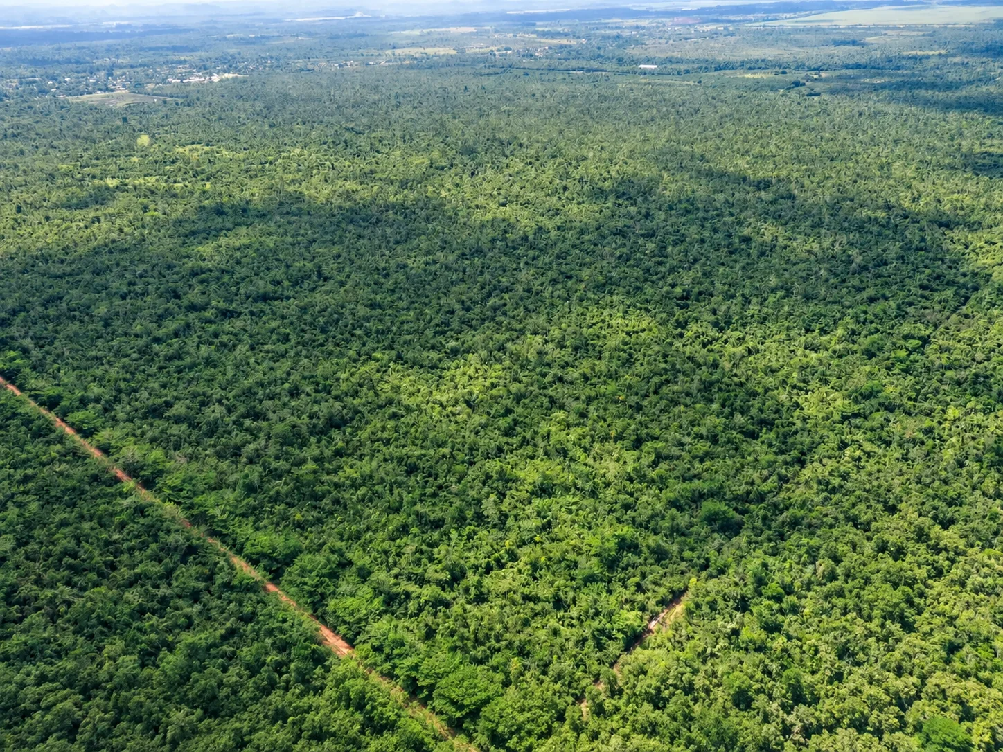8,851-Acre Property with Belize River Frontage along George Price Highway, Cayo