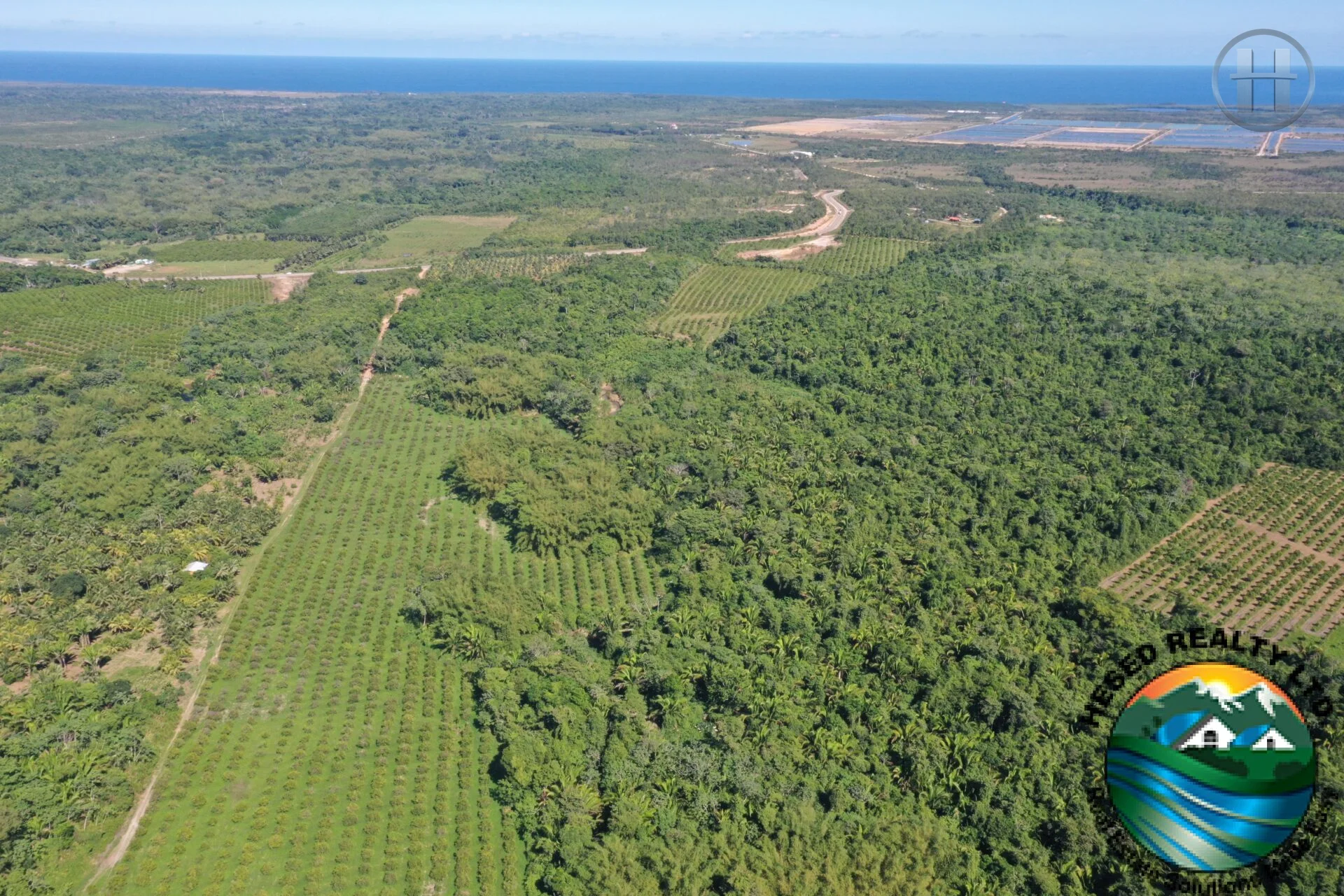 40-Acre Citrus Farm For Sale in Stann Creek
