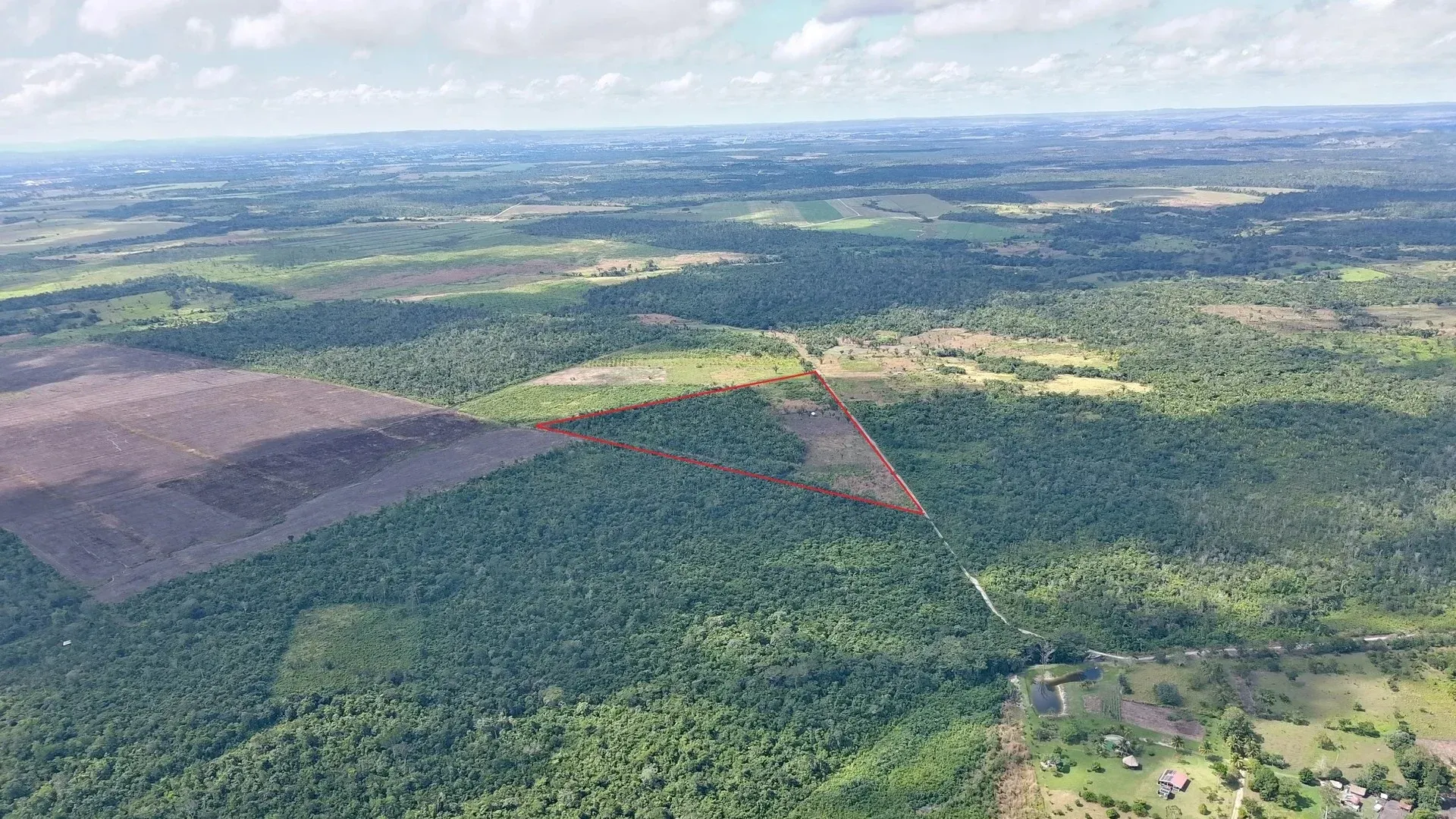 25-Acre Elevated Jungle Land off Farmers Express Road, Cayo District