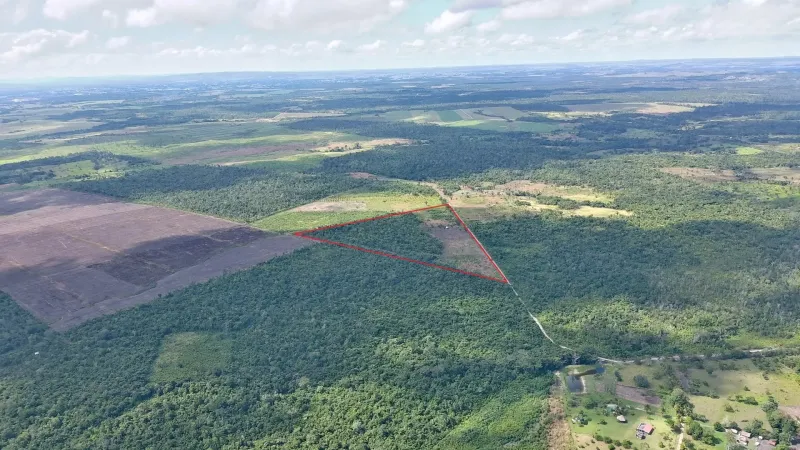 25-Acre Elevated Jungle Land off Farmers Express Road, Cayo District