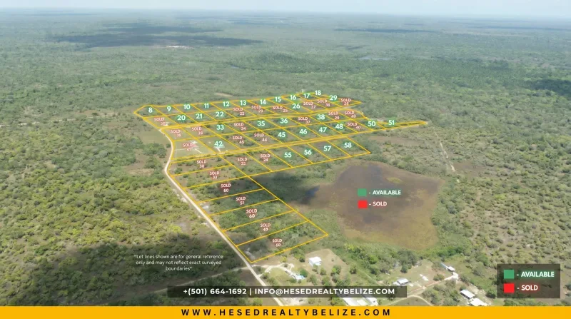 Large 2-acre residential lots for sale in Burrell Boom, Belize real estate