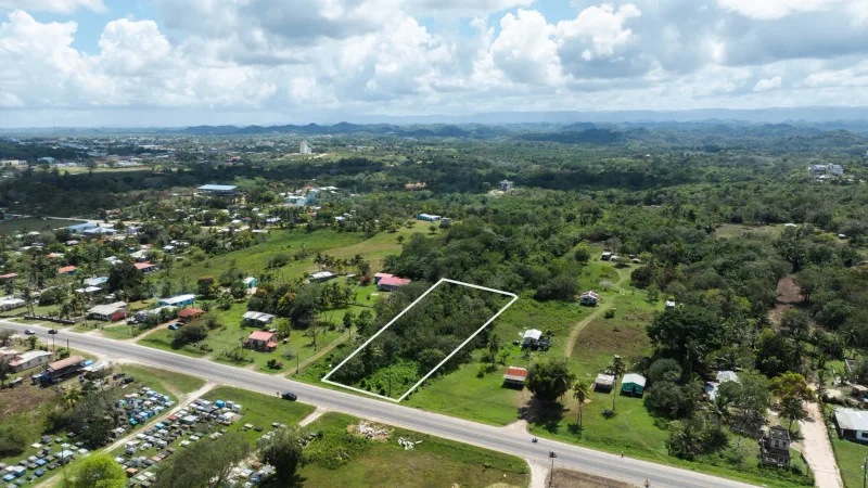1.19-Acre Highway-Frontage Lot Near Guanacaste Park, Roaring Creek, Cayo