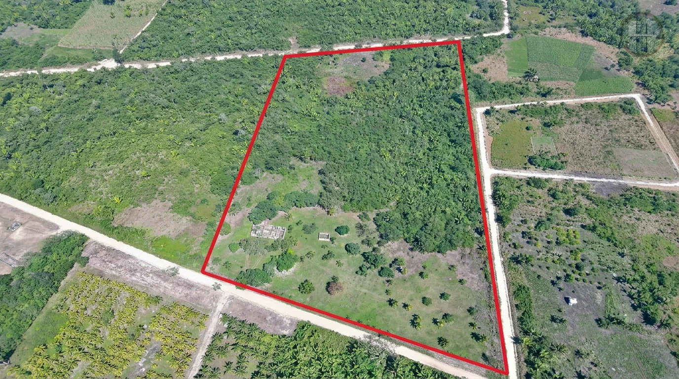 20-Acre Fruit Farm with Two Cement Structures in Mount Pleasant, Cayo