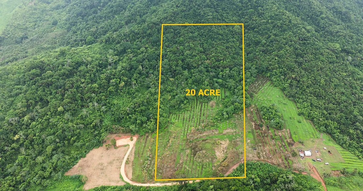 20 Scenic Acres in Alta Vista near Hummingbird Highway, Stann Creek