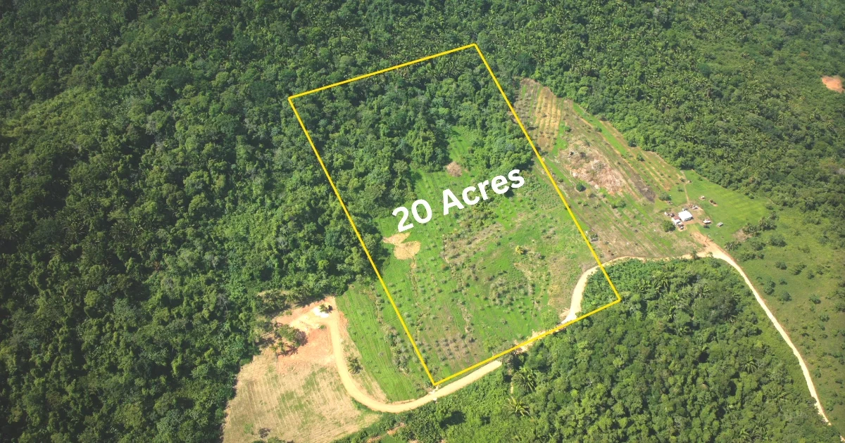 20 Scenic Acres in Alta Vista near Hummingbird Highway, Stann Creek