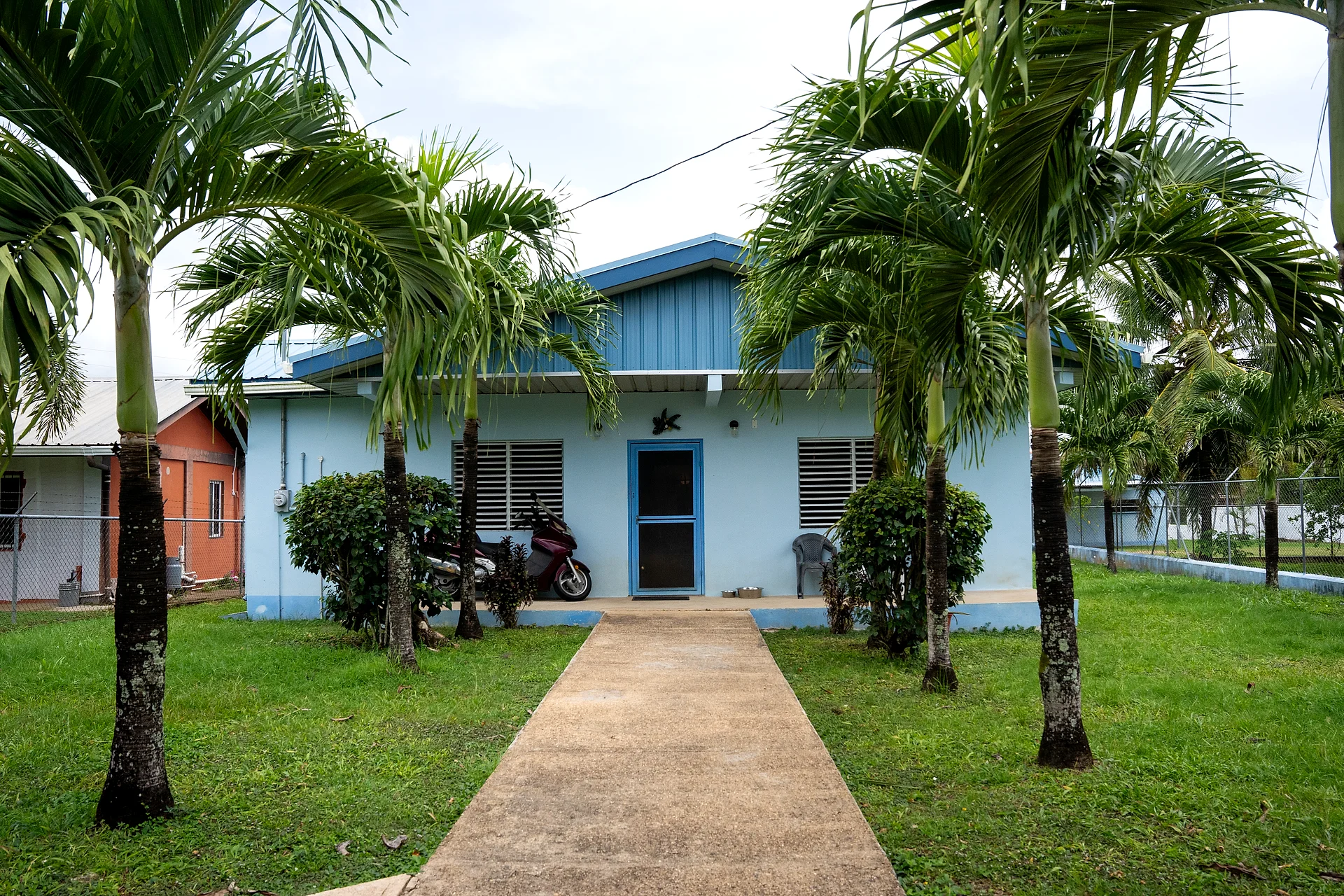 Front view of the three-bedroom blue home with palm-lined walkway in Roaring Creek, Cayo