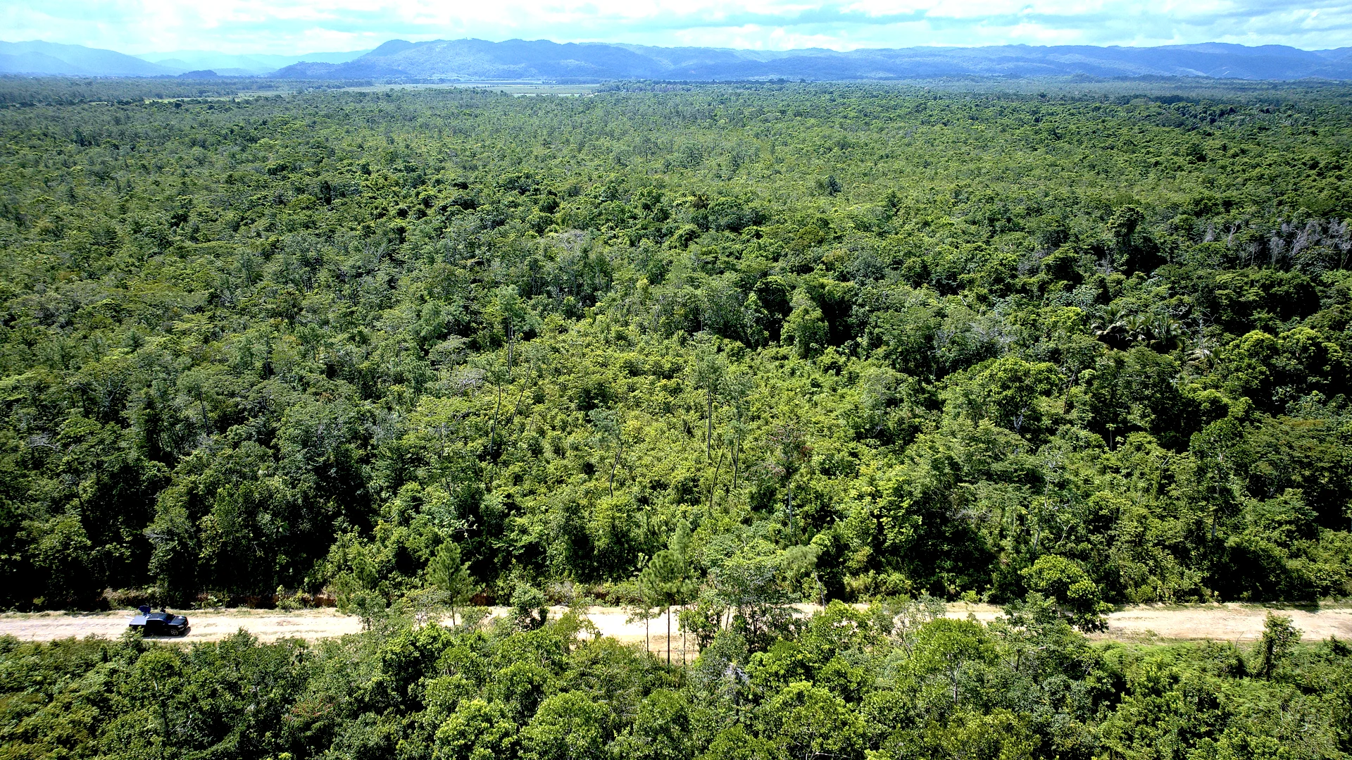 13.5 Acres Off-Grid Land for Sale in Hope Creek, Stann Creek