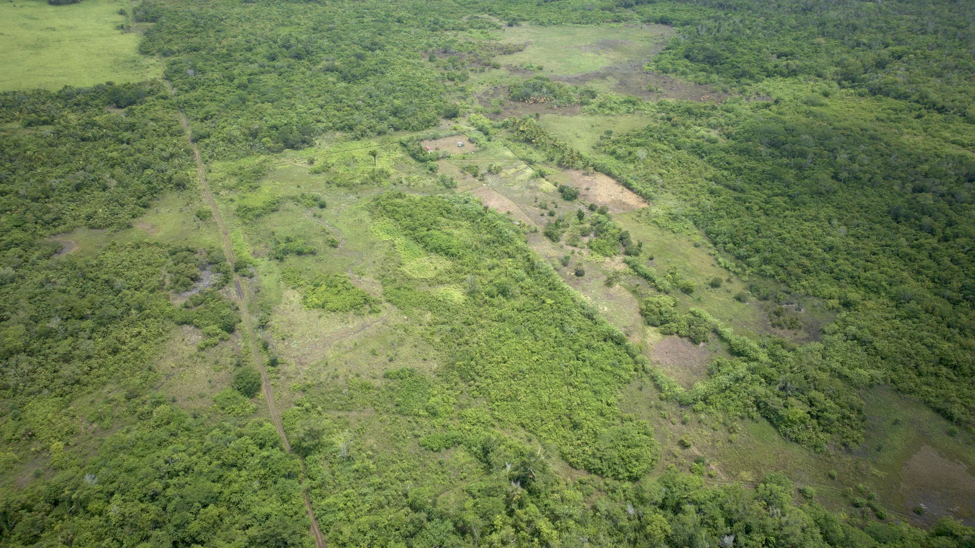 10 Acres of Land for Sale in Harmonyville, Cayo District, Belize