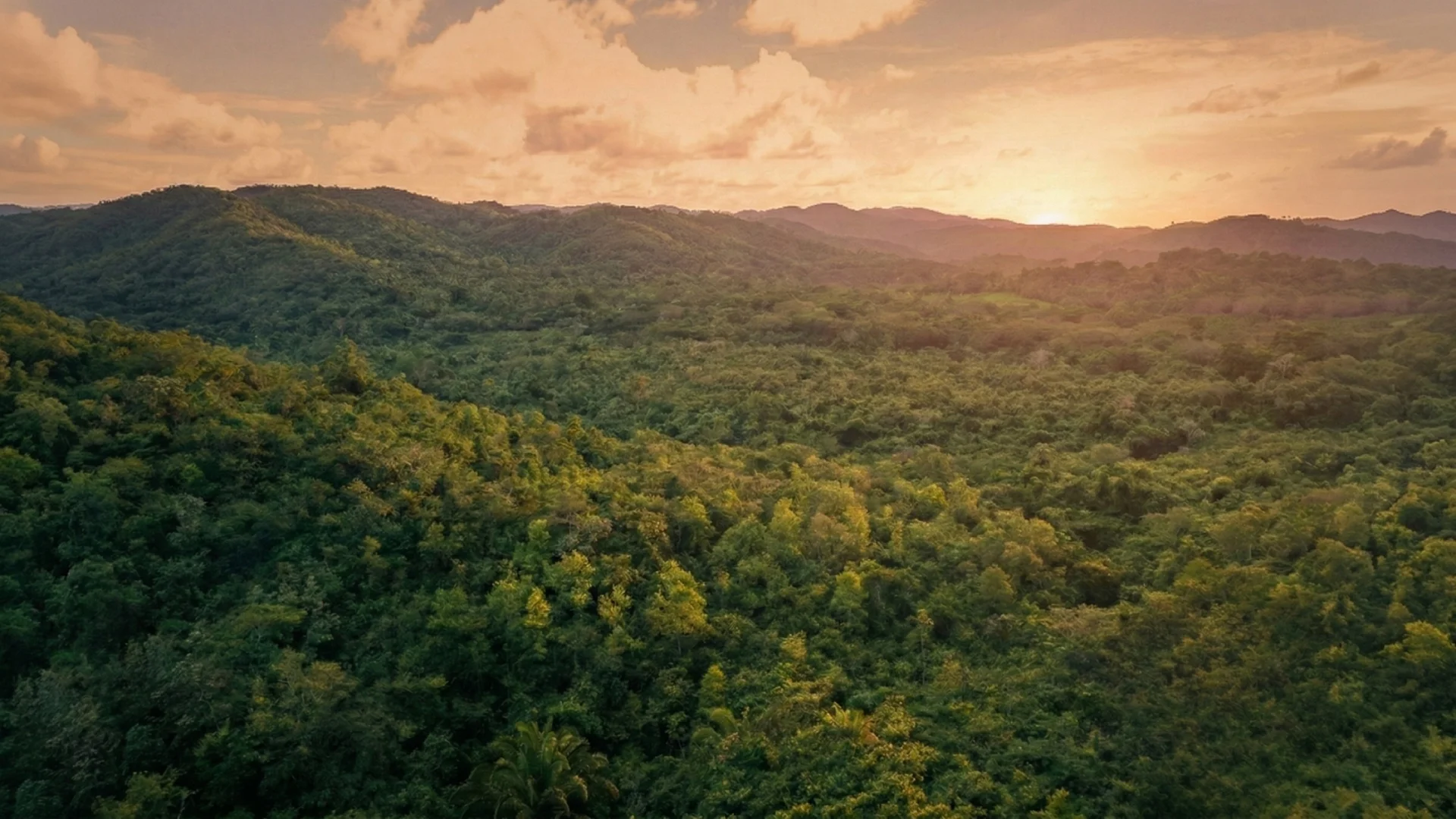 Rolling green hills and expansive acreage in the Cayo District of western Belize.