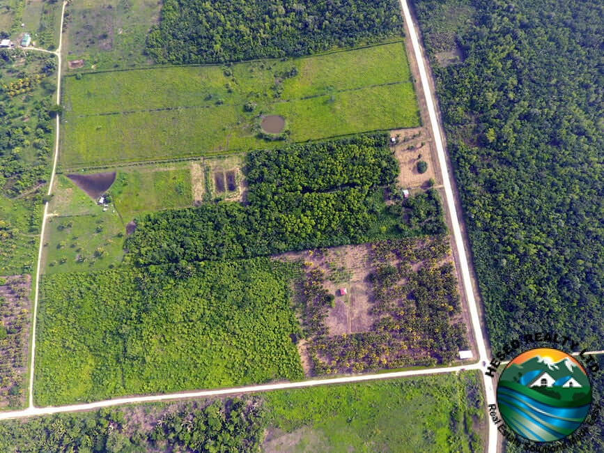 Zoomed-out drone view of the 24.42-acre farm showing the entire front section and neighboring parcels of land near Spanish Lookout.