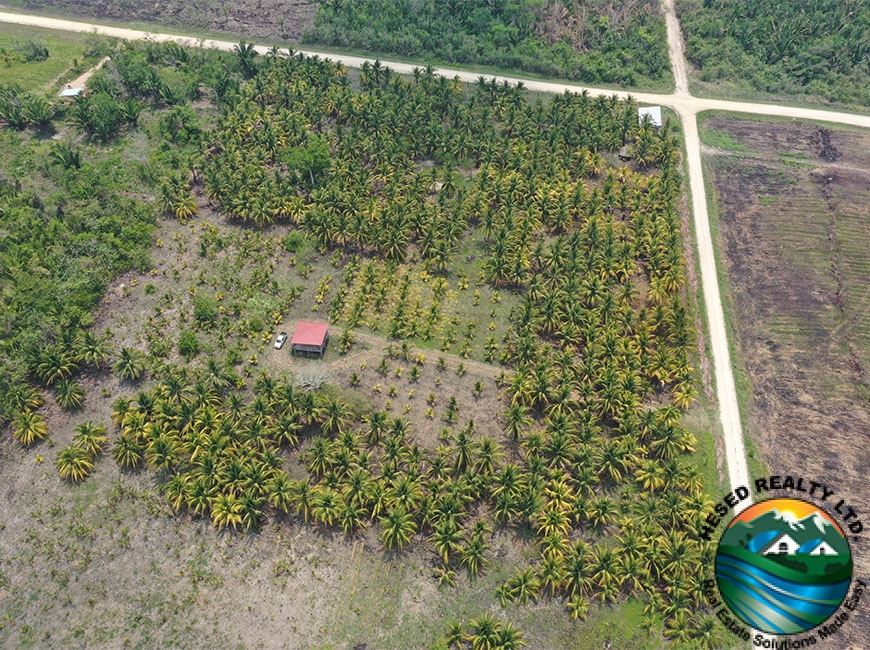 Drone shot of the farm, displaying mature trees and a small relaxing farm house among the greenery