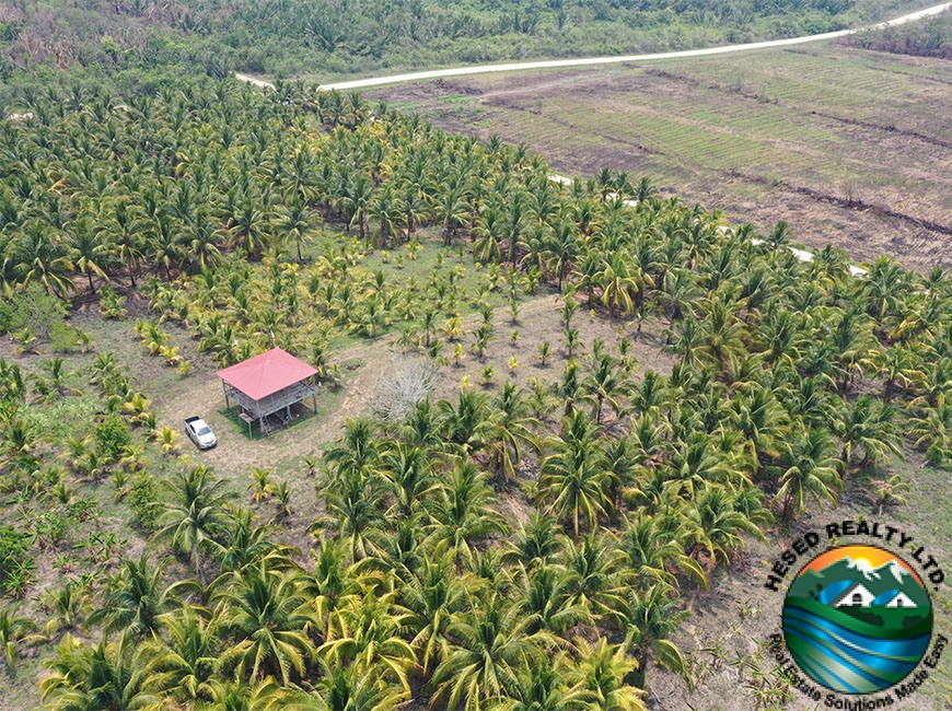 Zoomed-in drone view of a relaxing farm house nestled among mature coconut trees on a 24.42-acre farm near Spanish Lookout.