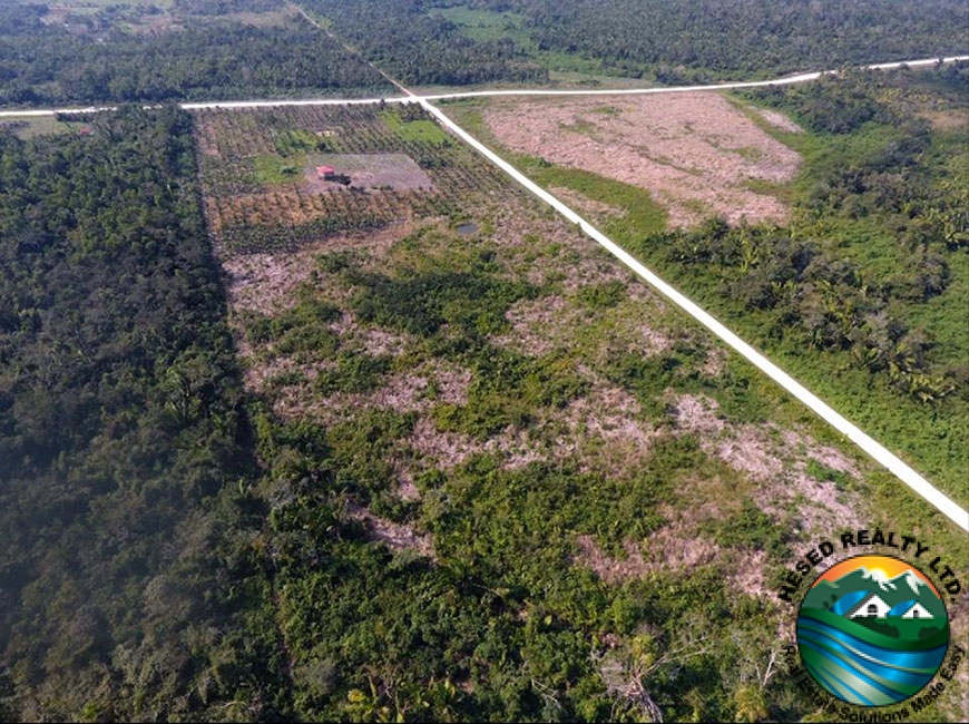 Drone view of the right side of the 24.42-acre property looking toward Farmers Express Road.