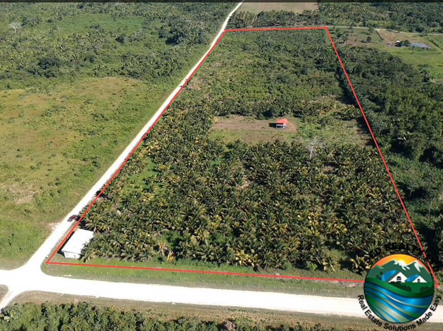 Aerial view of property with boundaries highlighted in red, showing the extent of the 24.42-acre farm near Spanish Lookout.